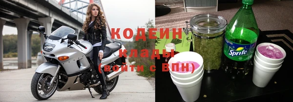 spice Богданович