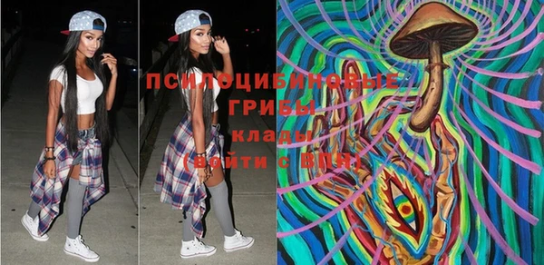 марки lsd Богородицк