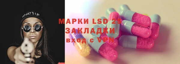 spice Богданович
