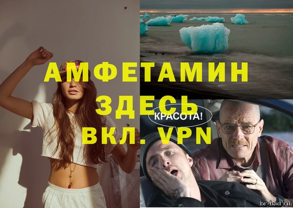 spice Богданович