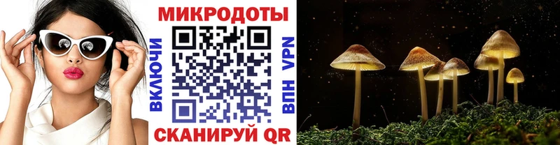 купить   Чадан  omg ONION  Псилоцибиновые грибы мицелий 